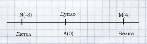 Белка сидит на дереве в точке м (4), а дятел — в точке n (— 3). какое расстояние от дятла до белки?