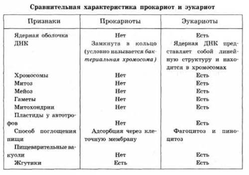 Вопросы для повторения темы «структура и функции клетки» 1. какое важное открытие сделал р.броун? ка