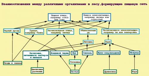 8цепей питания,что бы в цепи были растения и насекомое, и цепь состояла из 4 представителей написани