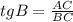 tgB= \frac{AC}{BC}