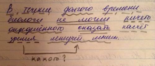 Втечение долгого времени биологи не могли ничего определенного сказать насчет зрения летучей мыши. -