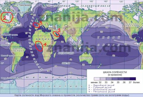 Какой самый соленый залив персидский, гудзонов, бискайский,или гвинейский?