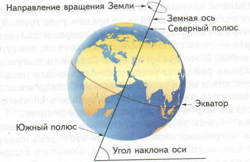 На земном шаре только одно из четырех направлений сторон горизонта имеется на: 1)экваторе 2)нулевом