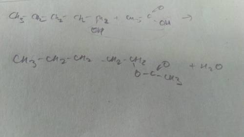 Составьте уравнение пентанол-1 + уксусная кислота