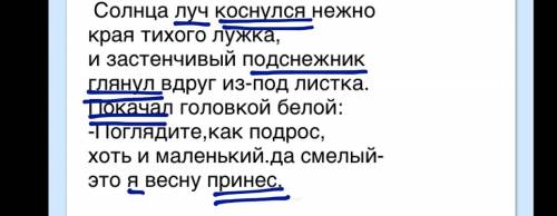 Солнца луч коснулся нежно края тихого лужка, и застенчивый подснежник глянул вдруг из-под листка. по