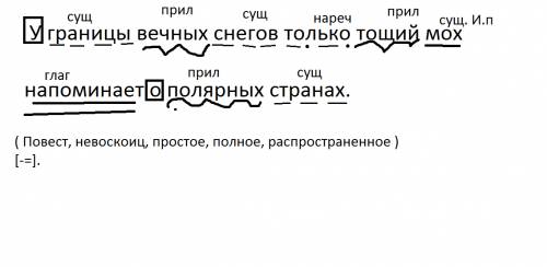 Синтаксический разбор предложения и морфологический разбор прилагательных. у границы вечных снегов т