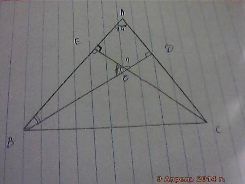 Втреугольнике авс угол а равен 74°, углы в и с-острые,высоты вд и се пересекаются в т.о. найдите уго