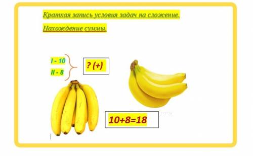 Мартышка сорвала с пальмы две большие грозди бананов .в одной из них было 10 бананов а в другой 8 .