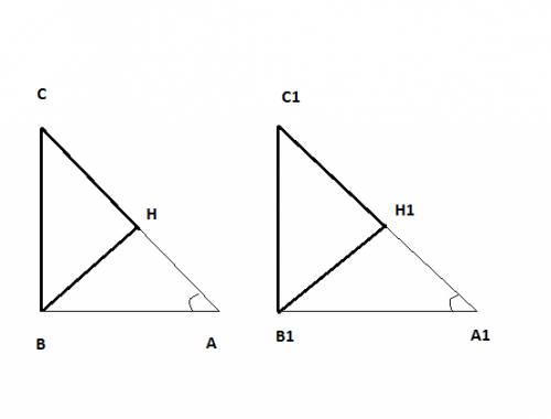 Даны два равных прямоугольных треугольника авс и а1в1с1, у которых в = в1 = 90 градусов, а = а1; вн