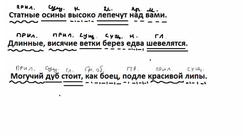 Синтаксический разбор предложения статные осины высоко лепечут над вами. длинные, висячие ветки бере