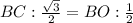 BC: \frac{ \sqrt{3} }{2} =BO: \frac{1}{2}