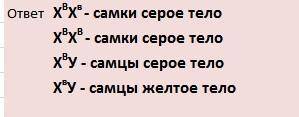 С у дрозофилы рецессивный ген жёлтой окраски тела находиться в x хромосоме.в лаборатории получено по