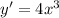 y'=4x^{3}