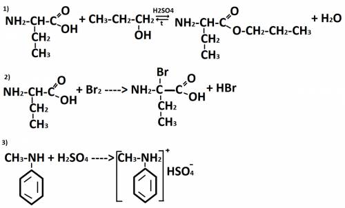 Напишите уравнения возможных реакций : между 2 - аминобутановой кислотой , метилфениламином, и следу
