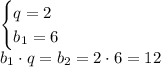 \begin{cases}q=2\\b_1=6\end{cases}\\b_1\cdot q=b_2=2\cdot6=12