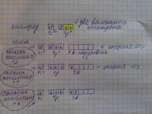 Объясните с точки зрения строения атомов элементов,почему селен может проявлять степень окисления +6