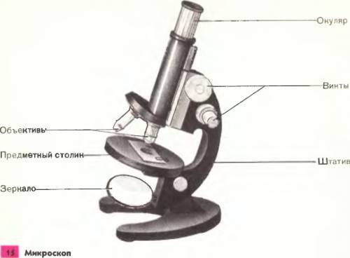 Нам по биологии нам задали строение микроскопа, пришлите картинку и название