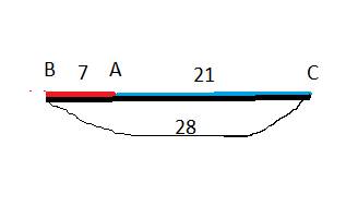 На прямой отмечены точки а,в,с так что ав 7 м,ас 21 м,вс 28 м. кака из точек лежит между двумя други