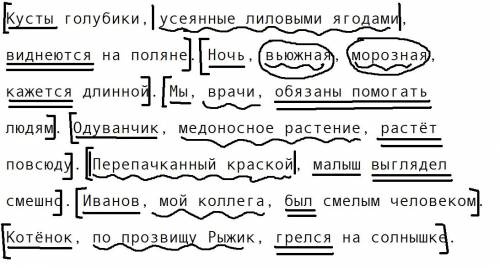 Кусты голубики, усеянные лиловыми , виднеются на поляне. ночь, вьюжная, морозная, кажется длинной. м