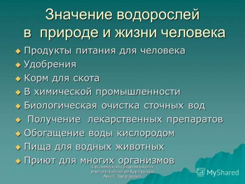 Каково значение водорослей в природе в жизни человека? !