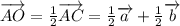 \overrightarrow {AO}= \frac{1}{2} \overrightarrow {AC}= \frac{1}{2} \overrightarrow {a}+ \frac{1}{2} \overrightarrow {b}