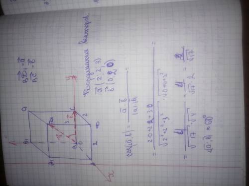 Дано: прямоугольный параллелепипед abcda1b1c1d1; da=2 dc=2 dd1=3 найти угол между прямыми cb и d1b