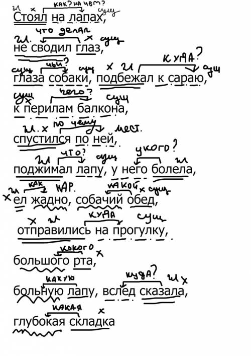 Графически обозначить главное и зависимое слова и средства связи слов. стоял на лапах, не сводил гла