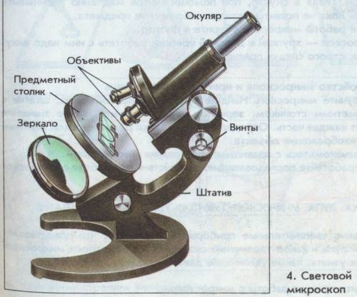 Подпишите световой микроскоп и расставить где окуляр. где штатив, и так далее