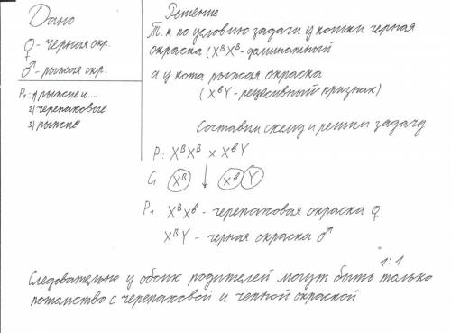 Нужна ! ) скрестили черную кошку с рыжим котом. будут ли в потомстве котята, подобные по фенотипу на