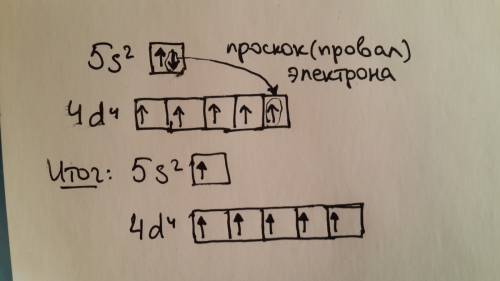 Распределить по квантовым ячейкам 5s^2 4d^4 электроны соблюдая принциа паули и правило гунда