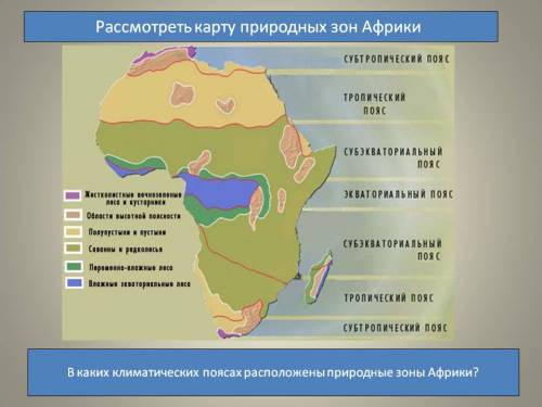 Сприродной зоной экваториальных лесов в африке соседствует зона