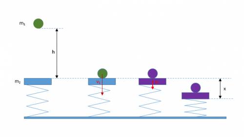 Тело массой 1 кг падает с высоты 1,8 м на горизонтальную пластину массой 0,5 кг, укрепленную на пруж