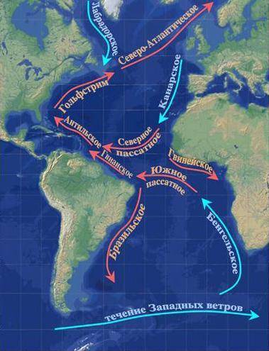 Важнейшие тёплые и холодные течения атлантического океана