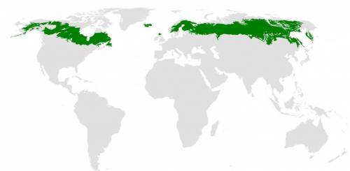 Опишите природную зону по выбору ,раскрывая взаимосвязи между компонентами её природы (климатом,почв