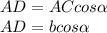 AD = AC cos \alpha \\ &#10;AD = b cos \alpha