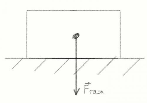 1.чему равна сила тяжести действующая на тело массой 2 кг,находящееся на земле.изобразите силу графи