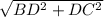 \sqrt{ BD^{2} + DC^{2} }