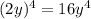 (2y)^{4} =16y^{4}