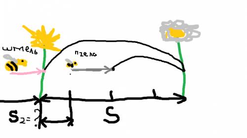 Пролетев 1/4 расстояния между одуванчиком и ромашкой, пчела заметила догоняющего её шмеля. если она