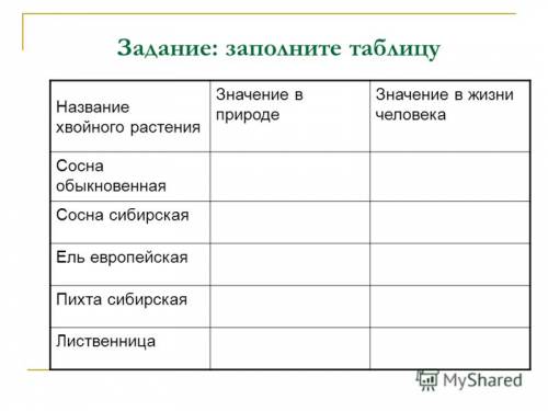 По биологии ..чем различается по строению ель и сосна таблица