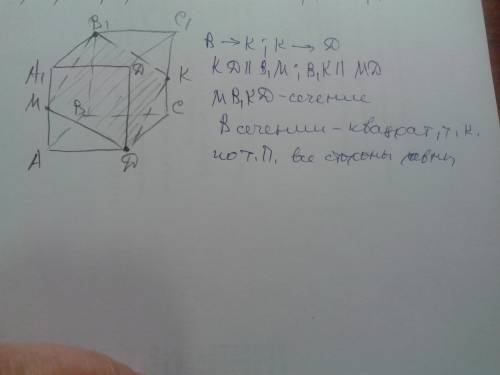 Постройте сечение куба плоскостью, проходящей через вершины b1, d и точку k - середину ребра cc1. ка