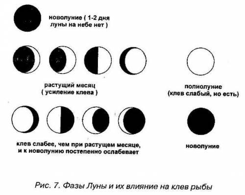 Понаблюдай и зарисуй , как изменяется луна. отметь , через сколько дней становится видны её изменени