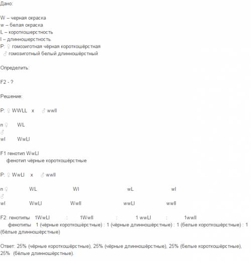 Уморских свинок ген черной окраски доминирует над геном белой окраски. короткошерстность доминирует