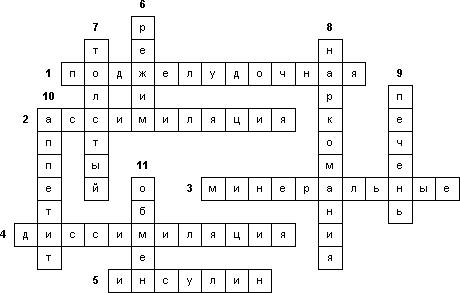 Вопросы для кросворда по теме пещеворительная система