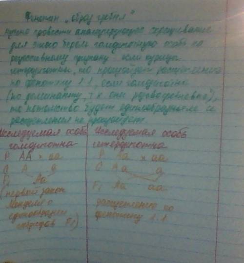 Укур розовидный гребень доминирует над простым. птицевод подозревает, что несколько его виандотов, и