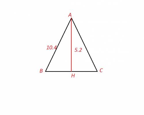 Дано треугольник авс,ав=ас,ан-высота,ан=5,2см,ав=10,4 см.найти углы авс