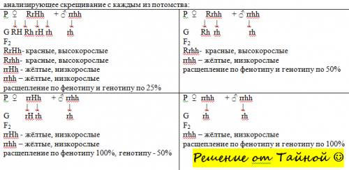 Мне нужно найти потомство от анализирующего скрещивания гибридов f1. у меня получились f1 rrhh, rrhh