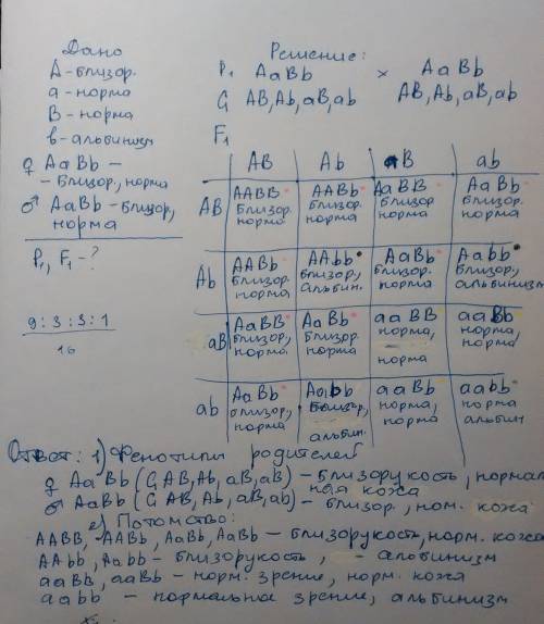 Учеловека ген близорукости доминирует над нормальным зрением, а альбинизм рецессивен, в брак вступаю