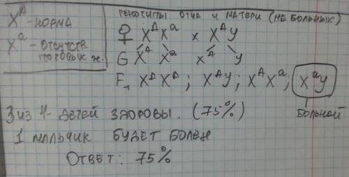 Отсутствие потовых желез у человека наследуется как рецессивный признак (а), сцепленный с х-хромосом