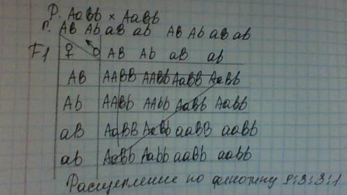 Львиного зева красная окраска цветка неполно доминирует над белой. гибридное растение имеет розовую